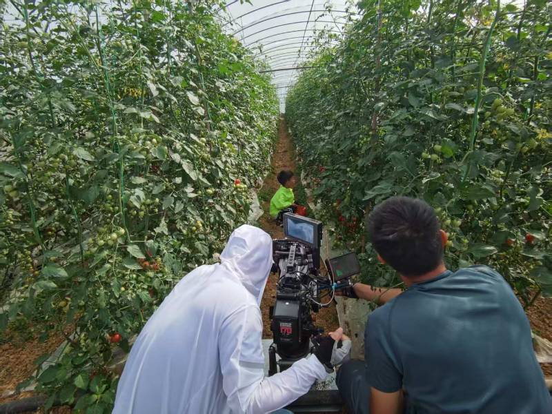 永城市产品宣传视频拍摄公司进阶指南，助力品牌抢占传播高地